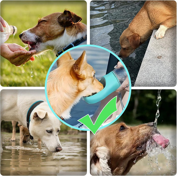Kalimdor Dog Water Bottle,Leak Proof Portable Puppy Water Dispenser with Drinking Feeder, Dog Walking Accessories for Pets Outdoor Walking, Hiking, Travel, Food Grade Plastic6