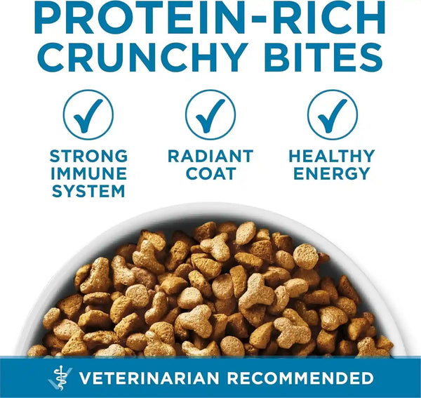 Purina ONE High Protein, Natural Senior Dry Cat Food, Indoor Advantage Senior+ - 3.5 Lb. Bag6