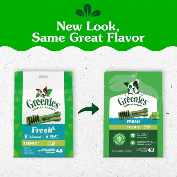 Greenies Teenie Natural Dental Dog Treats, Fresh Mint Flavor, 43 Count | Veterinarian-Recommended, for Dogs 5-15 Lbs, Cleans Teeth, Freshens Breath, Promotes Oral Health, 12 Oz. Pack2