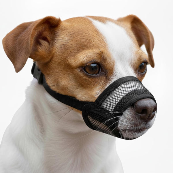Dog Muzzle Medium Sized Dogs - Soft Muzzle for Medium Sized Dog with Air Mesh | Mussle to Stop Biting Barking and Chewing | Allows Panting and Drinking11