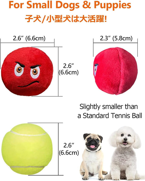 SCHITEC Squeaky Dog Toys, [6 Pack] Soft Stuffed Plush Balls with Squeakers, Interactive Fetch Play for Puppy Small Pets5