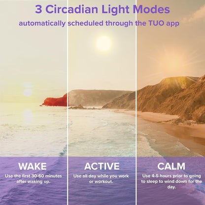 Bundle - Shadeless Lamp and Circadian Sunrise Simulation Smart LED Light Bulb4