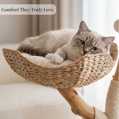 LEO & LEXI Aesthetic, Real Wood Modern Cat Tree. 46 Inches Tall, Sturdy, Solid Natural Wood Tower for Large Cats. Scratching Post with Wicker Basket Bed, Luxury, Boho Furniture for Indoor Cats8