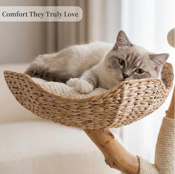 LEO & LEXI Aesthetic, Real Wood Modern Cat Tree. 46 Inches Tall, Sturdy, Solid Natural Wood Tower for Large Cats. Scratching Post with Wicker Basket Bed, Luxury, Boho Furniture for Indoor Cats8