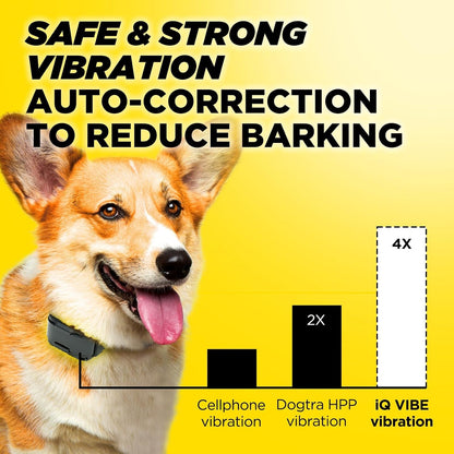 Dogtra Iq Vibe Vibration Only No Bark Collar: 4X Stronger HPP Vibration, IPX9K Waterproof, Precision Sensor, Rechargeable3