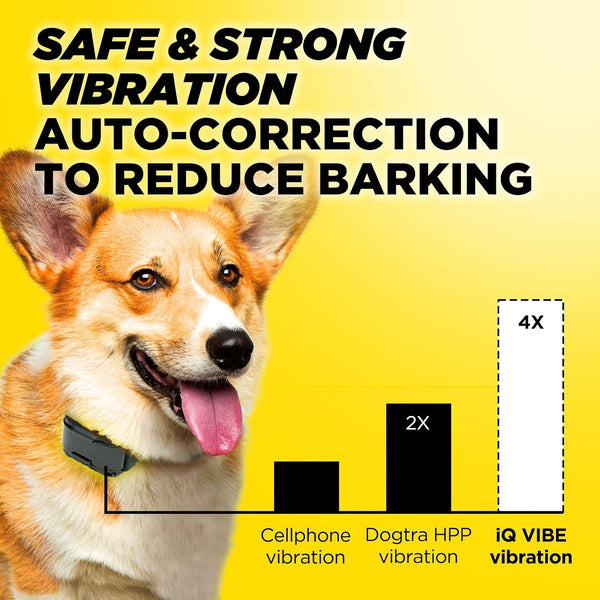 Dogtra Iq Vibe Vibration Only No Bark Collar: 4X Stronger HPP Vibration, IPX9K Waterproof, Precision Sensor, Rechargeable3