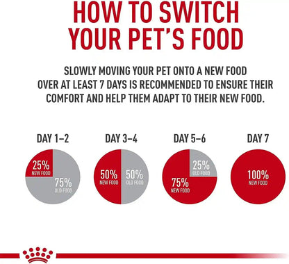 ROYAL CANIN Feline Health Nutrition Adult Instinctive Adult Loaf in Sauce Cat Food, 3 Oz (Pack of 24)6
