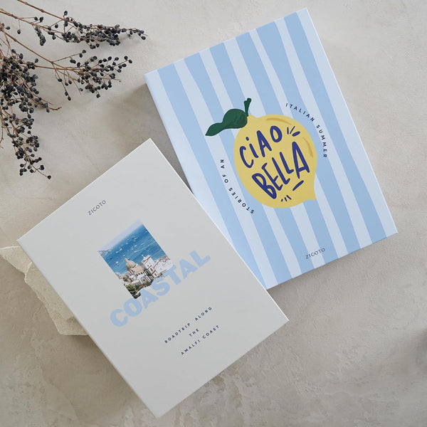 Beautiful Decorative Books - Set of 2 Coastal Boxes for Coffee Table Decor | Aesthetic Fake/Faux Books for Modern Home Decoration - Coastal Room Decor for Bookshelf or Mantel, Photo Storage/Keepsake Box2