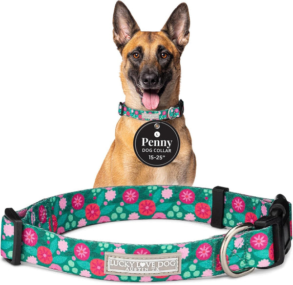 Lucky Love Dog - Easy Click Buckle Dog Collar with Leash Set Combo, Durable & Comfortable for Male & Female Dogs, Pet Collar for Medium Dogs, Secure Fit - Blackbird Combo, Medium28