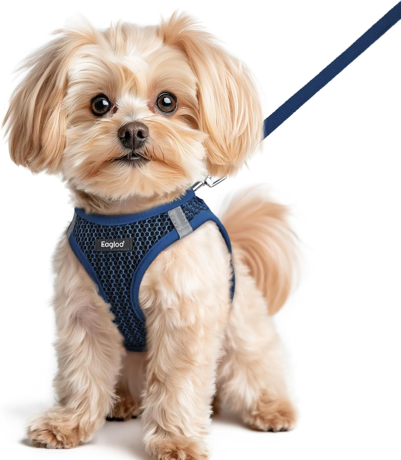 eagloo-small-dog-harness-and-leash-set-step-in-small-sized-puppy-pet-vest-light-soft-breathable-air-mesh-easy-on-and-off-with-hook-loop-reflective-for-safe-walking-pink-s