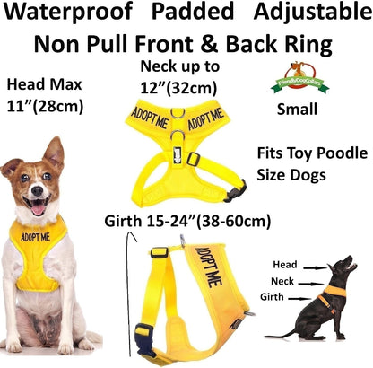 Dexil Limited Adopt ME (I Need a New Home) Yellow Color Coded Non-Pull Front and Back D Ring Padded and Waterproof Vest Dog Harness Prevents Accidents by Warning Others of Your Dog in Advance (S)2