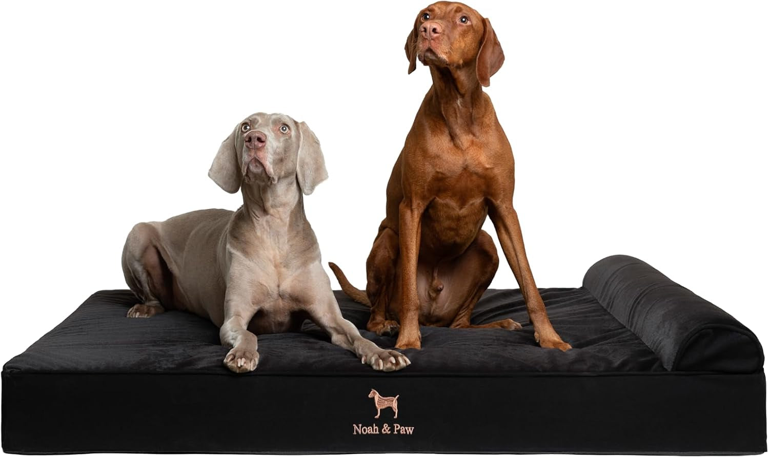 noah-paw-large-dog-bed-35x25x8-7-inch-orthopedic-dog-beds-eggshell-memory-foam-infused-with-cooling-gel-water-resistant-machine-washable-includes-inner-cover-velvet-collection