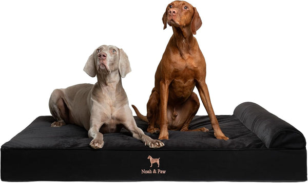 NOAH & PAW Large Dog Bed, 35X25X8.7 Inch, Orthopedic Dog Beds, Eggshell Memory Foam Infused with Cooling Gel, Water Resistant, Machine Washable, Includes Inner Cover (Velvet Collection)22