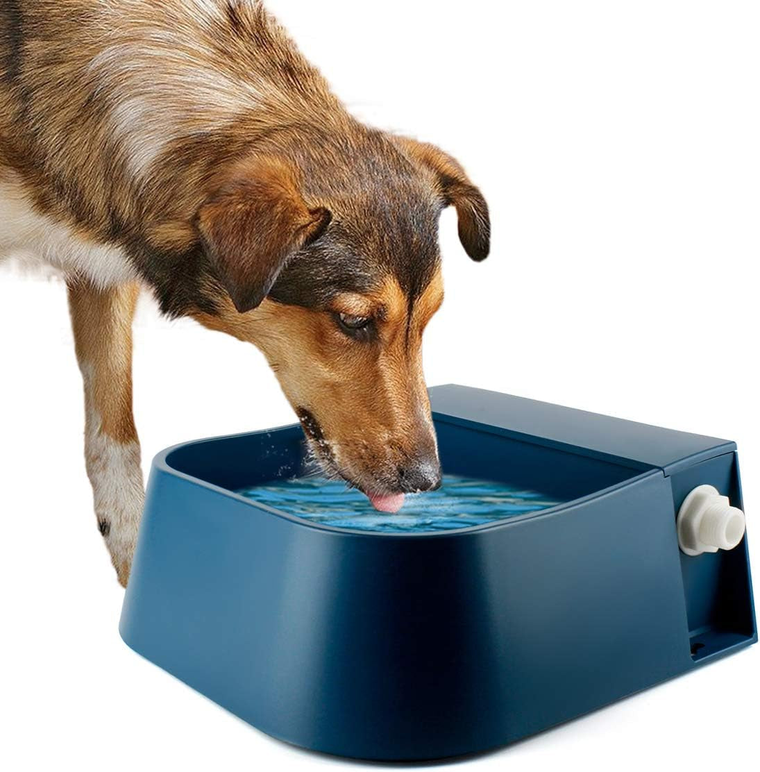 lesypet-dog-automatic-water-dispenser-with-hose-68-oz-outdoor-dog-drinking-water-bowl-for-chicken-livestock-auto-filling-waterer-for-pets-livestock