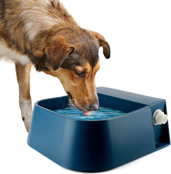 LESYPET Dog Automatic Water Dispenser with Hose, 68 Oz Outdoor Dog Drinking Water Bowl for Chicken Livestock, Auto Filling Waterer for Pets & Livestock8
