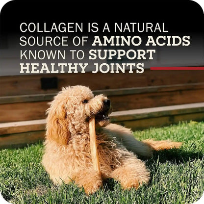 Redbarn Pet Products All-Natural Large 12" Beef Collagen Sticks for Dogs - Long Lasting Low-Odor Alternative to Traditional Rawhide & Bully Sticks - Supports Healthy Joints, Skin, & Coat - 3 Pack8