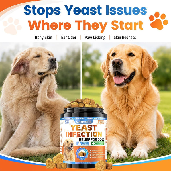 Yeast Infection Treatment for Dogs, 200 Chew Carmelie Yeast Balance Healthy Itch Relief, Ear Paw Care for Dog, Allergy Supports, Inflammation Relief for Dogs, Chinken Flavor (70 Days Supply)7