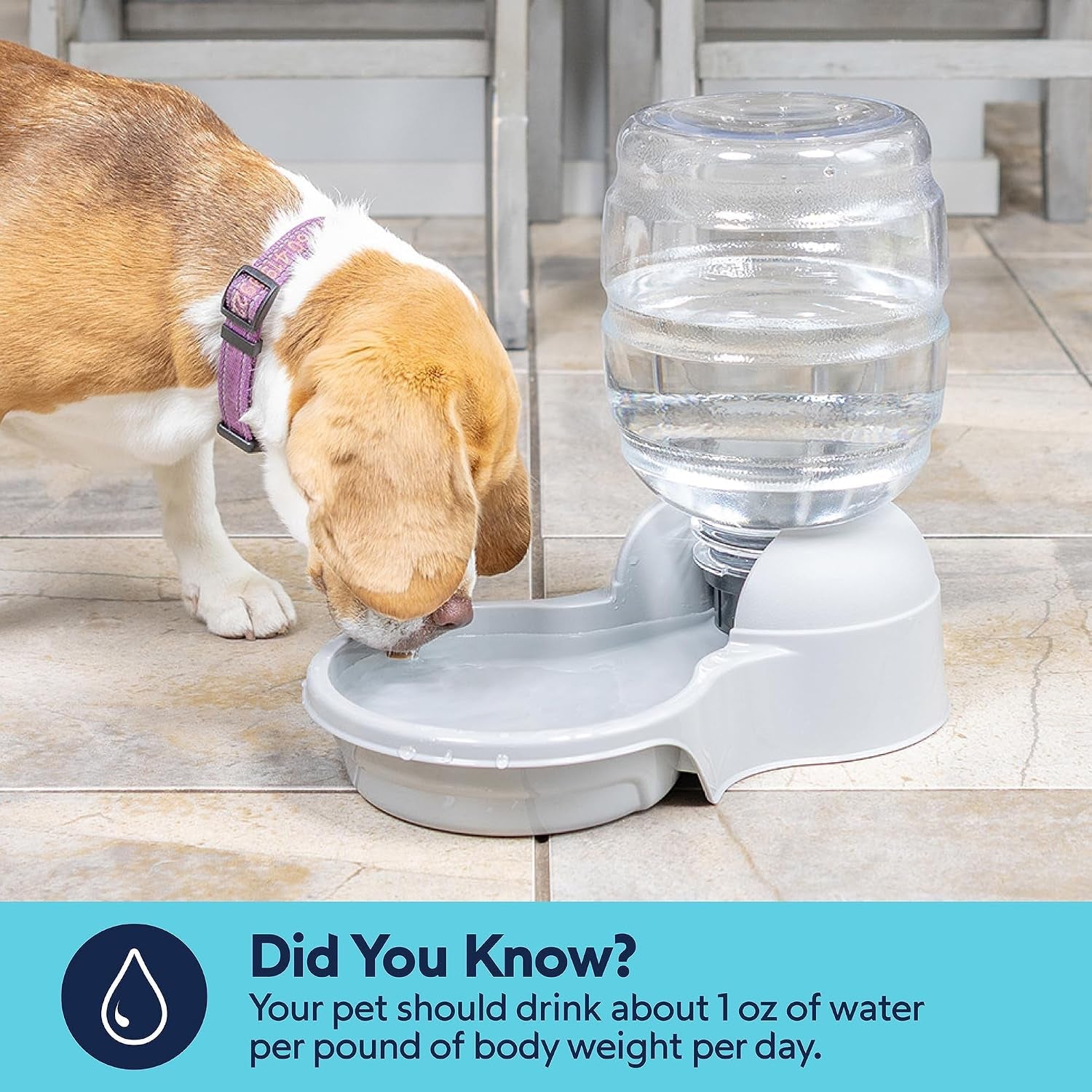petmate-aspen-pet-lebistro-water-dispenser-for-cats-and-dogs-1-gal-size-gravity-fed-reservoir-reduces-daily-refills-usa-made-wide-basin-suits-multiple-pets-sharing-one-feeding-area-each-day