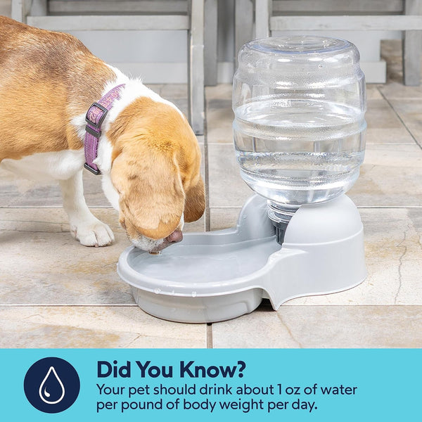 Petmate Aspen Pet Lebistro Water Dispenser for Cats and Dogs, 1 Gal Size | Gravity Fed Reservoir, Reduces Daily Refills, USA Made, Wide Basin, Suits Multiple Pets Sharing One Feeding Area Each Day6