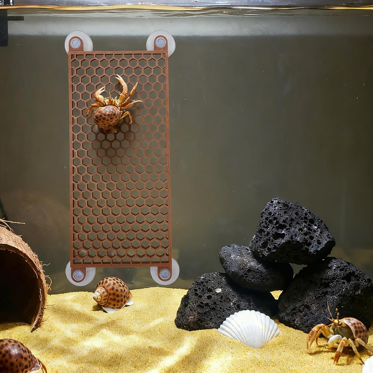 hermit-crab-climbing-toy-reptile-habitat-decor-exercise-playground-hermit-crab-accessories-for-tank-and-aquarium-decoration-brown