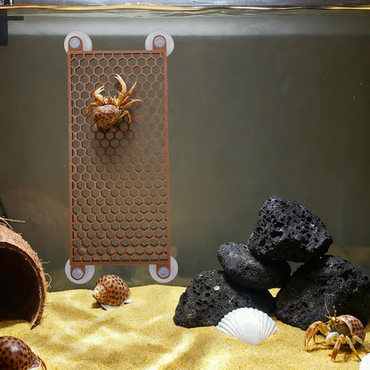Hermit Crab Climbing Toy, Reptile Habitat Decor Exercise Playground Hermit Crab Accessories for Tank and Aquarium Decoration (Brown)3
