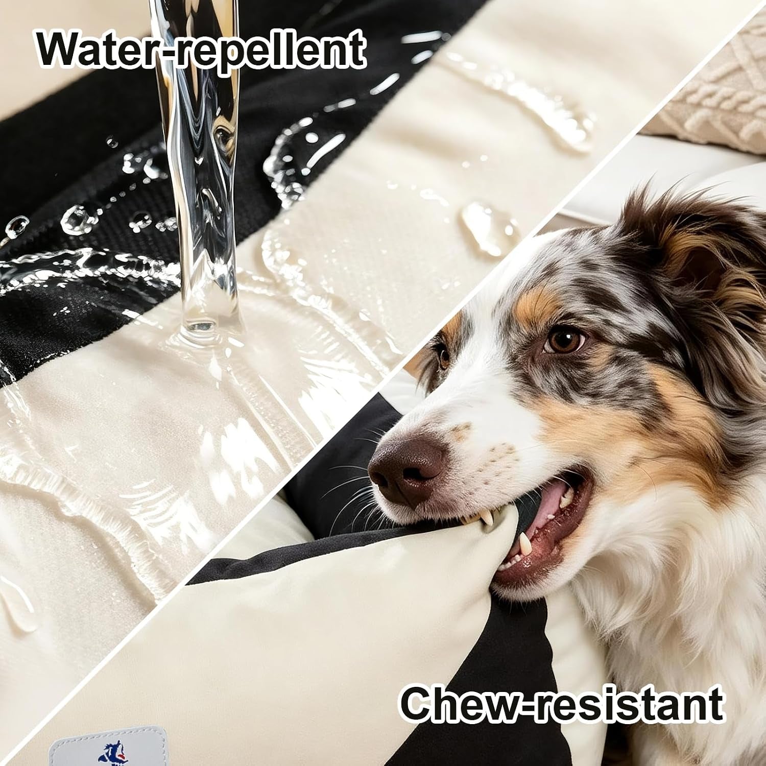 cotton-canvas-dog-bed-290gsm-thick-24x20x8-durable-waterproof-cute-dog-beds-for-small-dogs-orthopedic-bed-with-washable-removable-cover-anti-chewing-pet-bed-anti-slip-black-white