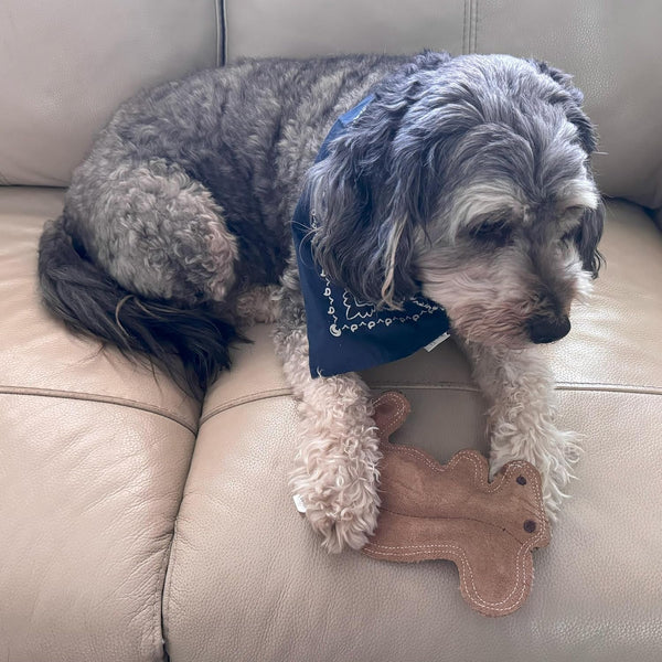 SPOT Dura-Fused Leather Squirrel Dog Toy – Real Leather & Jute Fabric, Double-Stitched & Durable, Soft Stuffed Squeaky Interactive Chew Toy for Moderate Chewers, Small & Medium Dogs, 8In9
