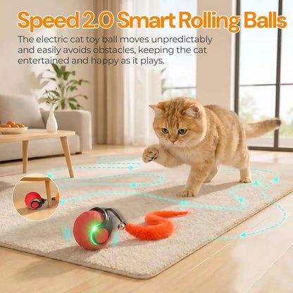 Interactive Cat Toys with Bird Sounds & 3 Speed Modes for Indoor Cats Play | Bird Sounds, 3 Speed Modes, Rechargeable Automatic Rolling, 3 Tails, Fast Charging Ball, for Indoor Cats on Hard Floor Carpet7