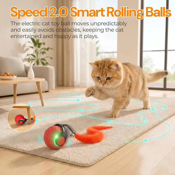 Interactive Cat Toys with Bird Sounds & 3 Speed Modes for Indoor Cats Play | Bird Sounds, 3 Speed Modes, Rechargeable Automatic Rolling, 3 Tails, Fast Charging Ball, for Indoor Cats on Hard Floor Carpet7
