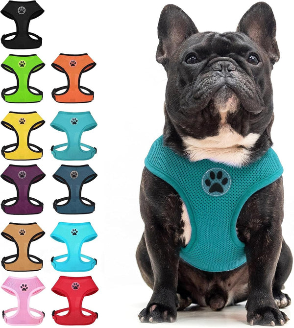 BINGPET Small Dog Harness, No Pull Dog Harness Small Sized Dogs, Soft Light Breathable Mesh Puppy Vest with Safety Buckle-Adjustable Step in Pet Harnesses for Easy Walking, Running, Training17