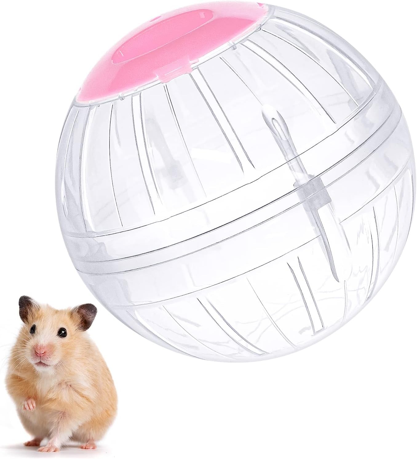hamster-exercise-ball-5-7-inch-transparent-running-wheel-for-dwarf-hamsters-to-reduce-boredom-and-increase-activity-dwarf-hamsters-exercise-ball-to-reduce-boredom-and-increase-activity