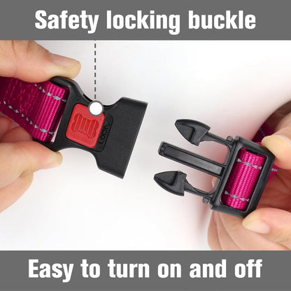 Joytale Martingale Collar for Dogs, Escape Proof No Pull, Hotpink, M | Gentle Cinch Stops Pulling without Choking, Safety Lock Buckle, Reflective Stitching for Night Walks, Soft Nylon5