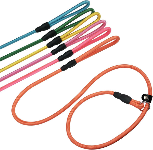 FOVRLZSE Nylon Dog Leash 5-Pack (Red/Black/Blue/Brown/Purple), 4.6FT Training Leash for Small to Medium Dogs, 10Mm Braided Nylon with TPU Non-Slip Buckle, Daily Walking & Puppy Training10