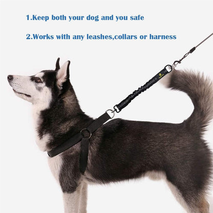 Bungee Dog Leash Extension Attachment, 18” Shock Absorbing Lead Extension Absorber, Prevent Injury on Arm and Shoulder & save Dogs from Getting Hurt, Great for Bicycle, Running, Walking3