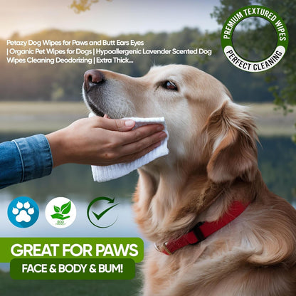 Petazy Pet Wipes for Dogs and Cats – 400 Count (8X8In) Hypoallergenic, Deodorizing Dog Wipes for Paws, Ears and Butt | XL with Aloe & Coconut Oil, Lavender Scented | Includes 4 Grooming Glove Wipes5