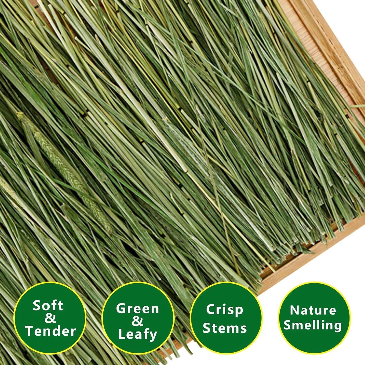 timothy-hay-2-2lbs-small-pet-feed-premium-dust-free-natural-fresh-timothy-hay-for-rabbits-tortoises-guinea-pigs-chinchillas-2-packs-of-1-1lbs-each
