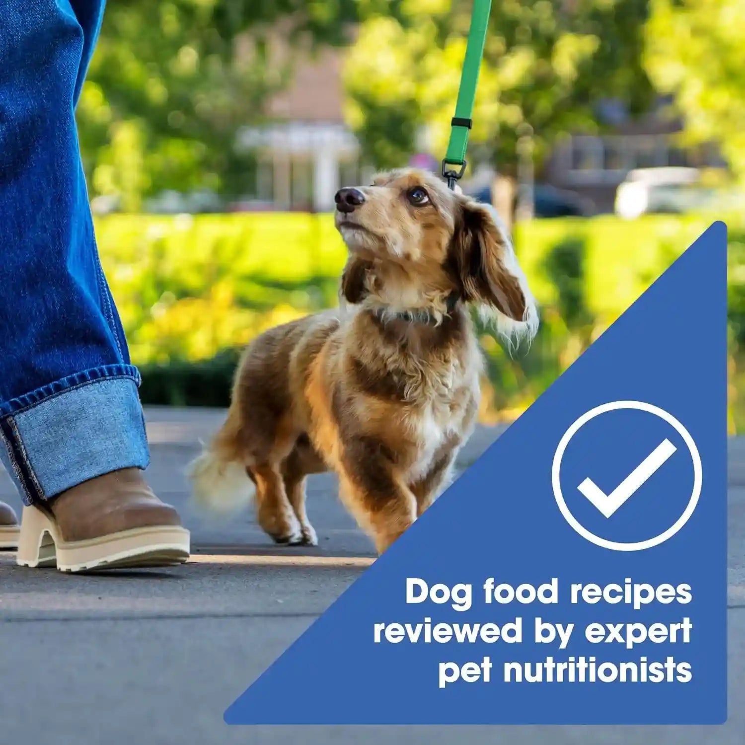 natures-recipe-grain-free-small-breed-dry-dog-food-chicken-sweet-potato-pumpkin-recipe-4-lb-bag