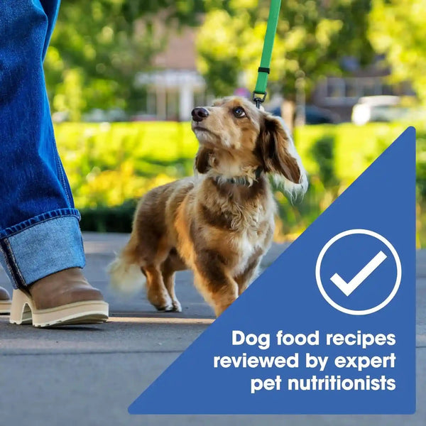 Nature'S Recipe Grain Free Small Breed Dry Dog Food, Chicken, Sweet Potato & Pumpkin Recipe, 4 Lb. Bag5