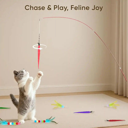 Cat Toys for Indoor Cats, 13 Packs Interactive Cat Wand Toy Set | Kitten Toys Feather Toys & Teasers, Fun Cat Toys for Exercise, Playtime and Boredom Relief6