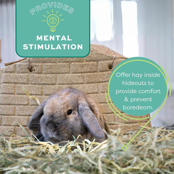 Oxbow Western Timothy Hay, Guinea Pig Hay, Small Pet Bunny Supplies, All Natural Grass for Guinea Pig, Bunny, Chinchilla & Hamster, Oxbow Rabbit Supplies for Bunnies, 9 Lb Box | Oxbow Timothy Hay, Bunny Hay for Rabbits, Guinea Pigs, Bunnies and Chinchillas, Hand-Sorted, De-Dusted, Made in USA13