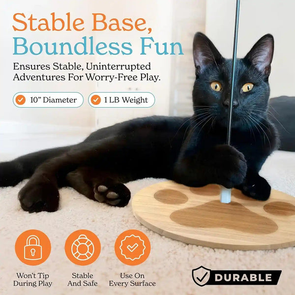 2 Cat Toy + 9 Feather Lures Interactive Cat Toys for Indoor Cats Interactive Kiteen Toys Enrichments for Boared Indoor Adult Cats Kittens Suction Cup Juguetes Para Gatos Teaser Feather Wand5