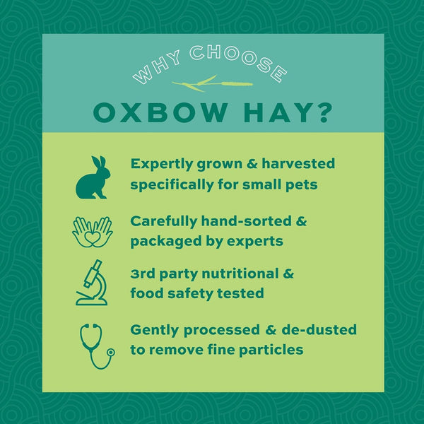 Oxbow Western Timothy Hay, Guinea Pig Hay, Small Pet Bunny Supplies, All Natural Grass for Guinea Pig, Bunny, Chinchilla & Hamster, Oxbow Rabbit Supplies for Bunnies, 9 Lb Box | Oxbow Timothy Hay, Bunny Hay for Rabbits, Guinea Pigs, Bunnies and Chinchillas, Hand-Sorted, De-Dusted, Made in USA5
