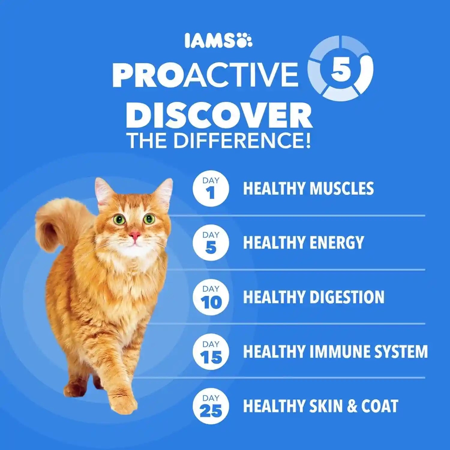 iams-healthy-enjoyment-dry-cat-food-chicken-salmon-recipe-3-lb-vet-recommended-real-chicken-1-ingredient-natural-fiber-prebiotics-supports-immune-digestive-health-muscle-care