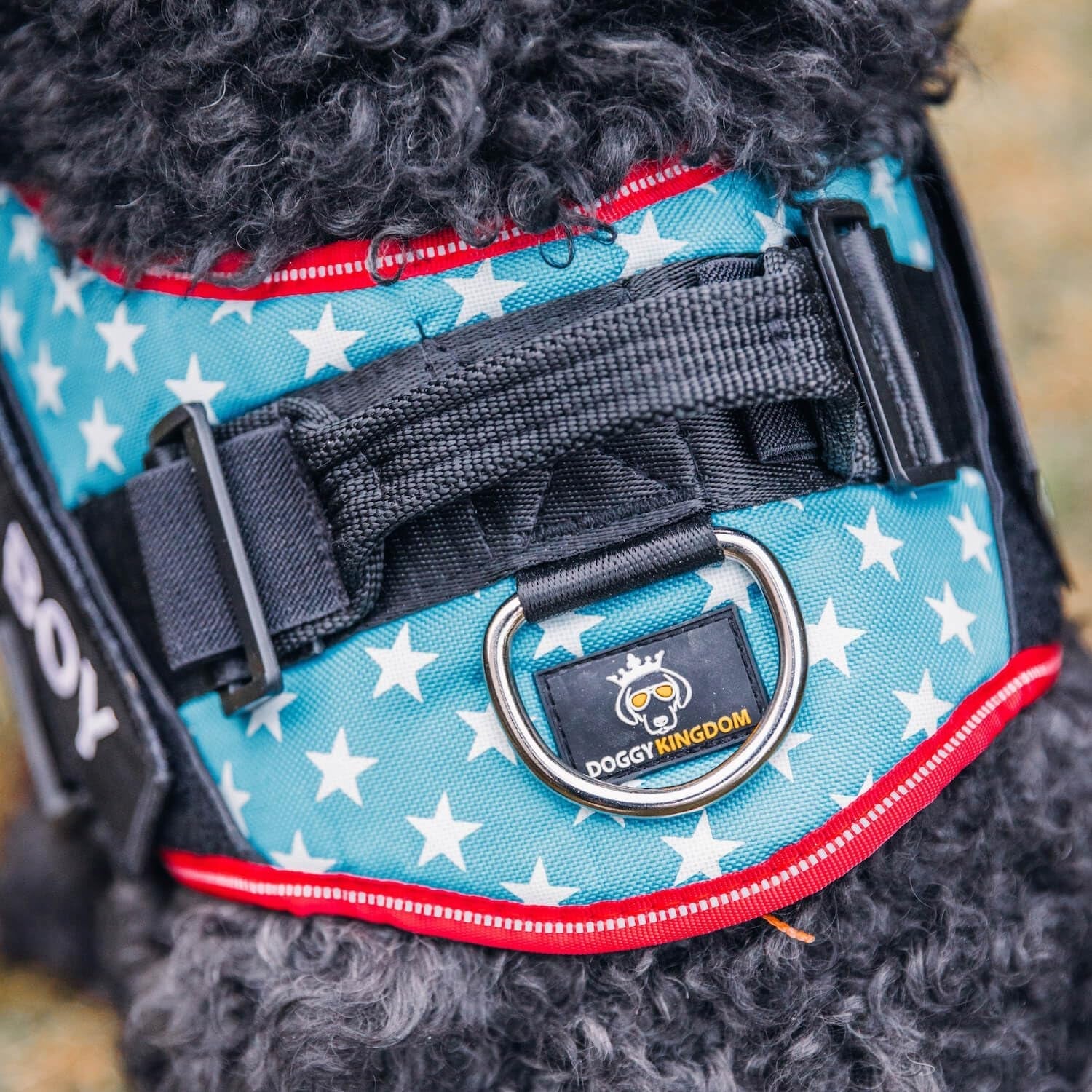 doggykingdom-no-choke-dog-harness-with-handle-and-patch-panels-adjustable-reflective-dog-vest-for-small-sized-dog-blue-s