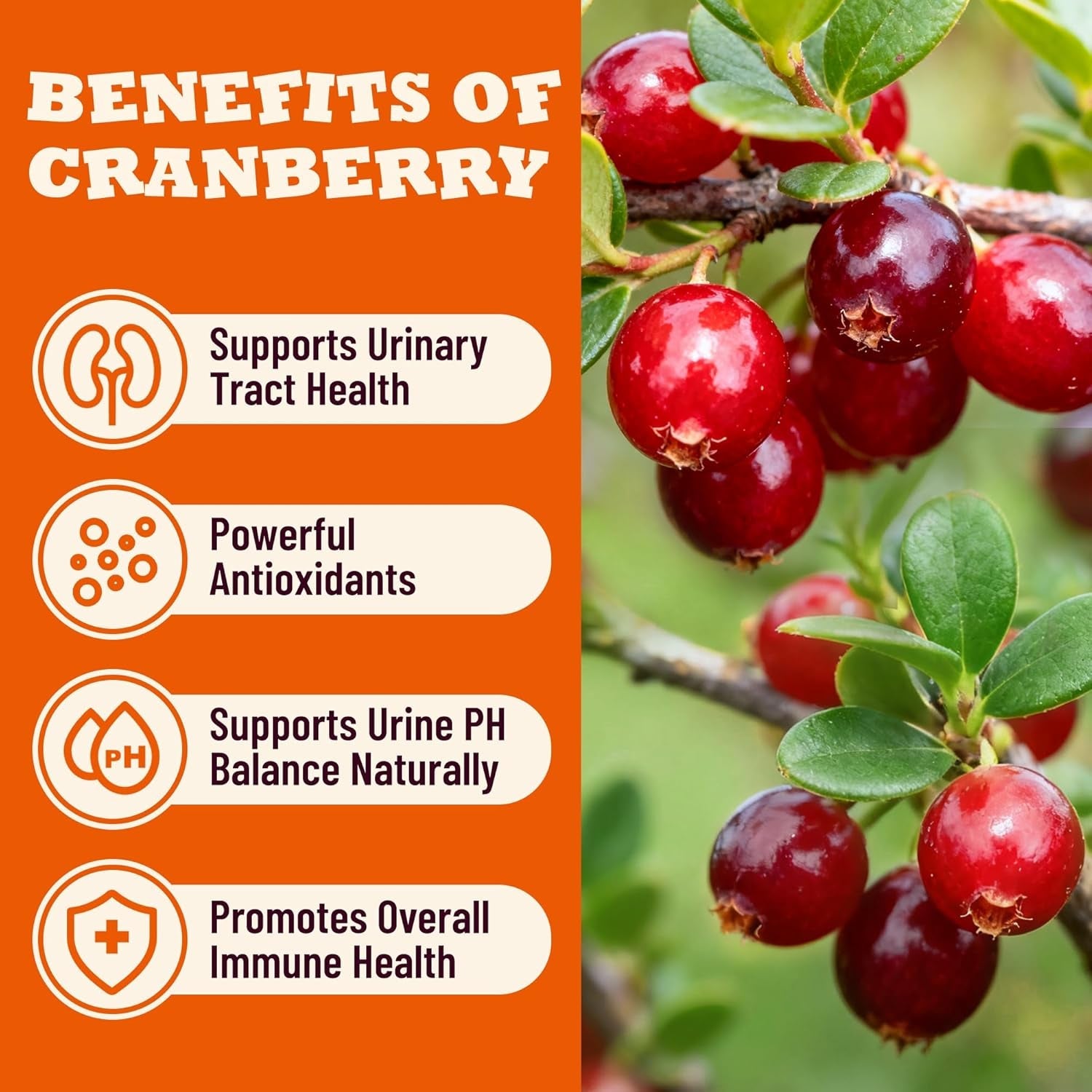 cranberry-cat-treats-for-urinary-tract-chicken-flavor-13-05oz-urinary-tract-cat-treats-healthy-for-uti-kidney-support-bladder-control-crunchy-urinary-cat-treats-for-indoor-cats