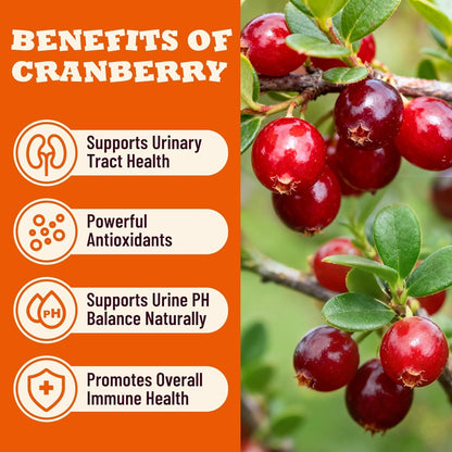 Cranberry Cat Treats for Urinary Tract, Chicken Flavor, 13.05Oz | Urinary Tract Cat Treats Healthy for Uti, Kidney Support & Bladder Control. Crunchy Urinary Cat Treats for Indoor Cats4
