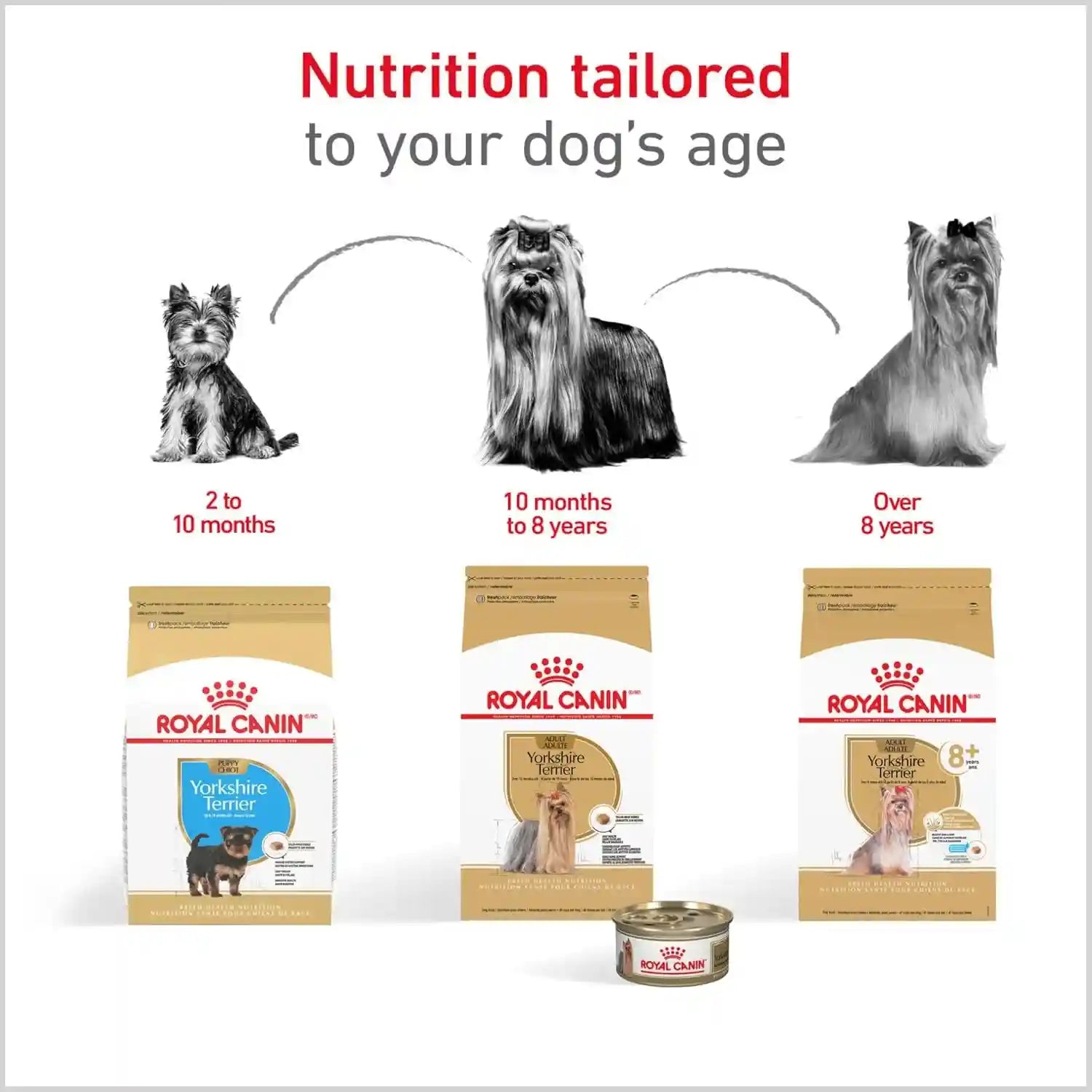 royal-canin-breed-health-nutrition-yorkshire-terrier-adult-dry-dog-food-2-5-lb-bag
