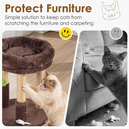 21” Tall Cat Scratching Post with Plush Cat Bed | Stable Cat Tree for Indoor Cats, Interactive Toy & Grooming Brush Included3