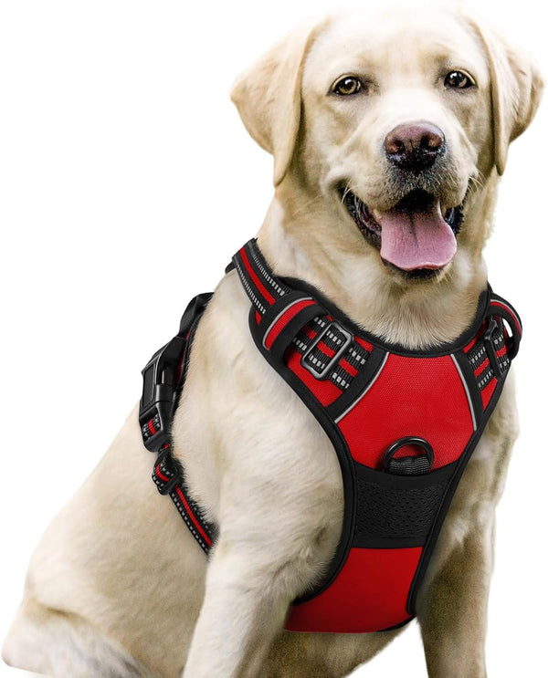 Rabbitgoo Dog Harness, No Pull for Large Dogs with 2 Leash Clips, Pet Vest | No Choke with Handle, Adjustable Soft Padded, Reflective, Easy Control for Walking, Black, Large84