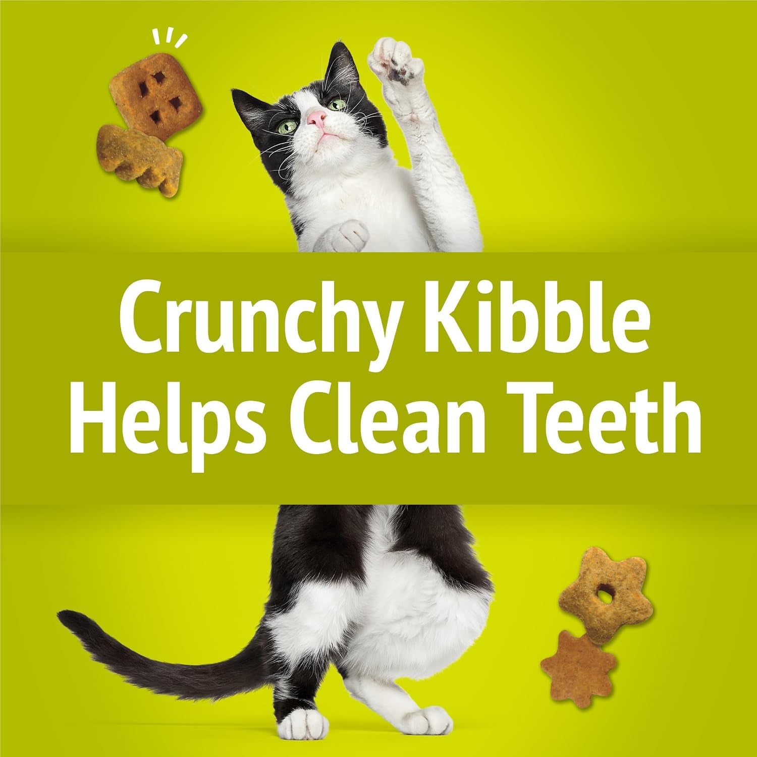 purina-friskies-party-mix-morning-munch-crunch-cat-treats-pack-of-10-2-1-oz-pouches